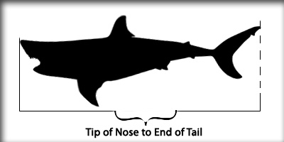 Shark replicas