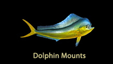 mahi replicas