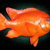 10" Garibaldi replica