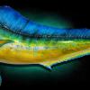 46" Mahi Mahi Mount
