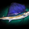 56" Pacific Sailfish Replica Mount