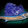 117" Pacific Sailfish replica