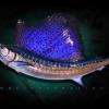 89" Pacific Sailfish replica