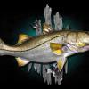 47" Snook replica